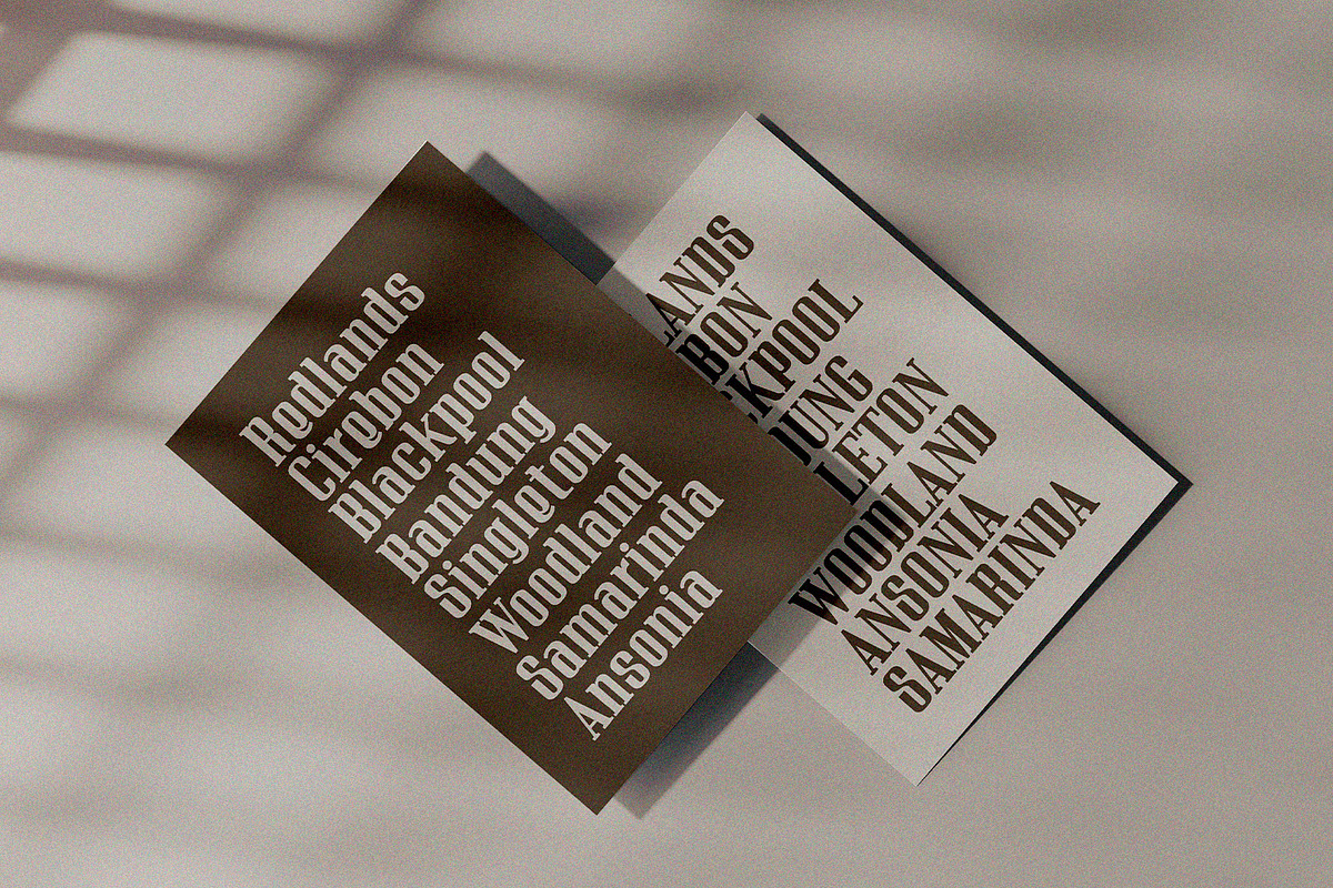 Silquora - Serif Font, a Font by Alpaprana (Photo 5 of 10)