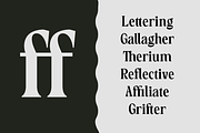 Callgrim - Serif Display Font, a Serif Font by Haps Space (Thumbnail 2 of 14)