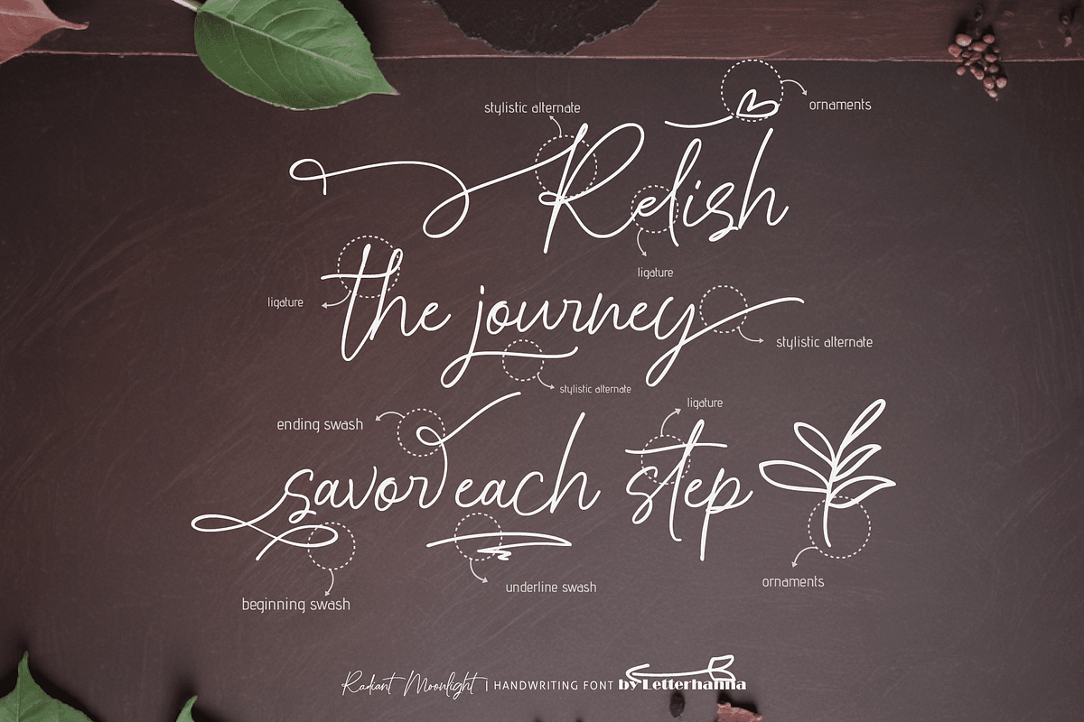 Radiant Moonlight Font, a Handwritten Font by Letterhanna Studio (Photo 13 of 15)