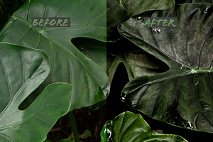 Lightroom Presets: Greens