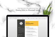 Resume Template 4 Page | CV Template, a Resume Template by ResumeInventor (Thumbnail 5 of 6)