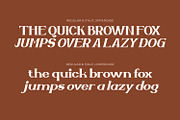 Zellique - Modern Serif Font, a Serif Font by Rishsketch (Thumbnail 4 of 15)