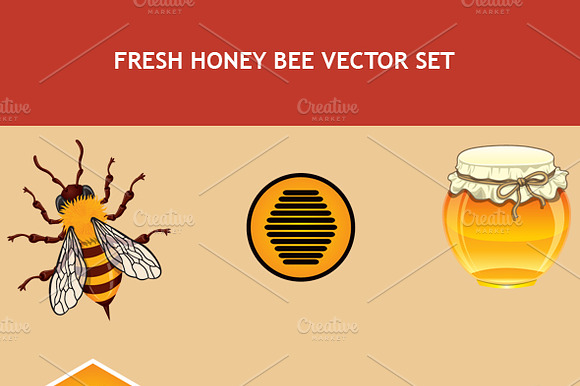Fresh Honey Bee Vector Objects