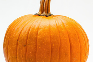 Single orange pumpkin isolated for Halloween, a Food & Drink Photo by José Manuel Gelpi