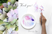 Watercolor Hydrangea Garden Set, an Illustration by Olga Koelsch (Thumbnail 13 of 13)