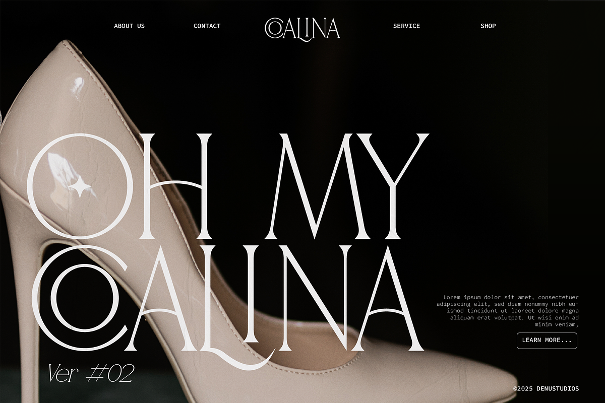 Gibme Foggie | Modern Elegant Serif, a Serif Font by Denustudios (Photo 2 of 12)