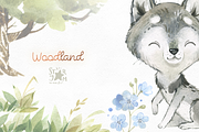Woodland. Animal Collection, an Animal Illustration by StarJam (Thumbnail 7 of 9)