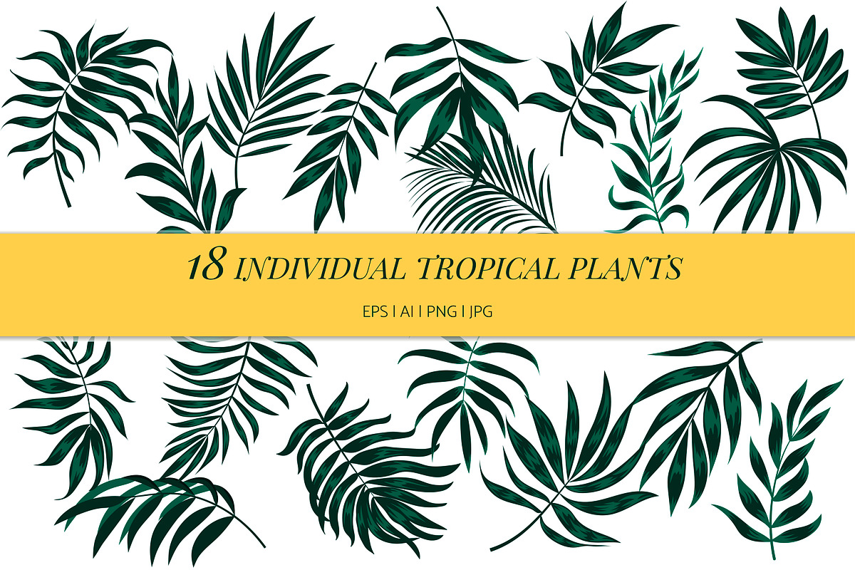 Tropical seamless patterns & leaves, a Pattern Graphic by EltaMaxArt (Photo 14 of 15)