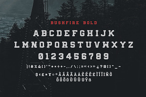 Bushfire - 4 Font Family