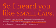 Benedikt, a Sans Serif Font by Finaltype (Thumbnail 9 of 20)