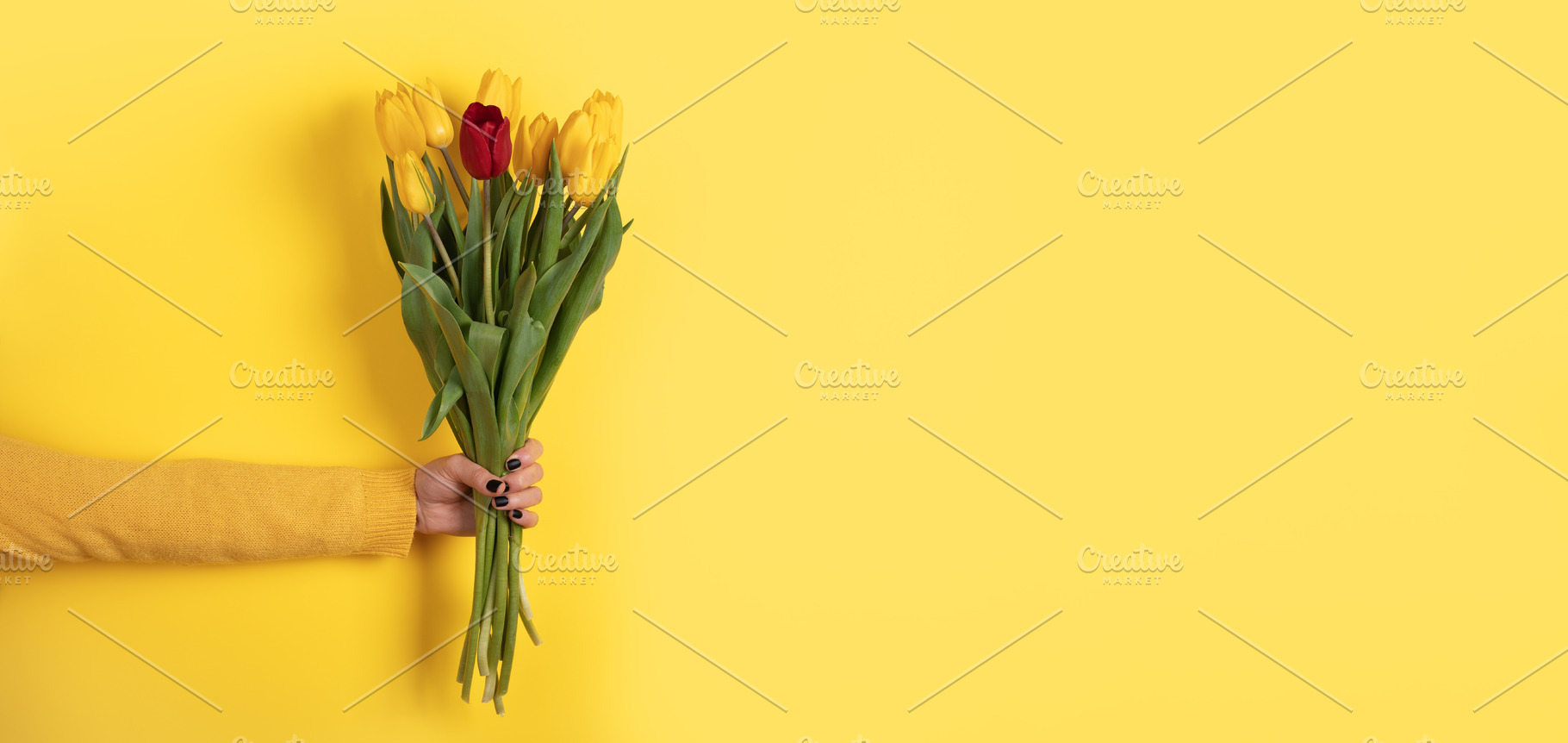 Hand holding bouquet with one red tulip among yellow tulips on y, a Holiday Photo by Ales Munt