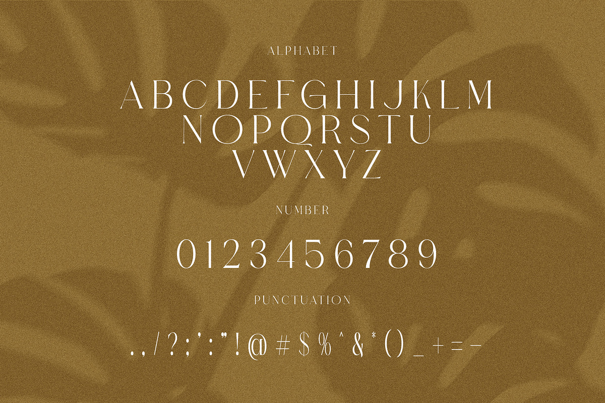 Whoper Elegant Serif Font Typeface, a Serif Font by Perfectype (Photo 10 of 10)