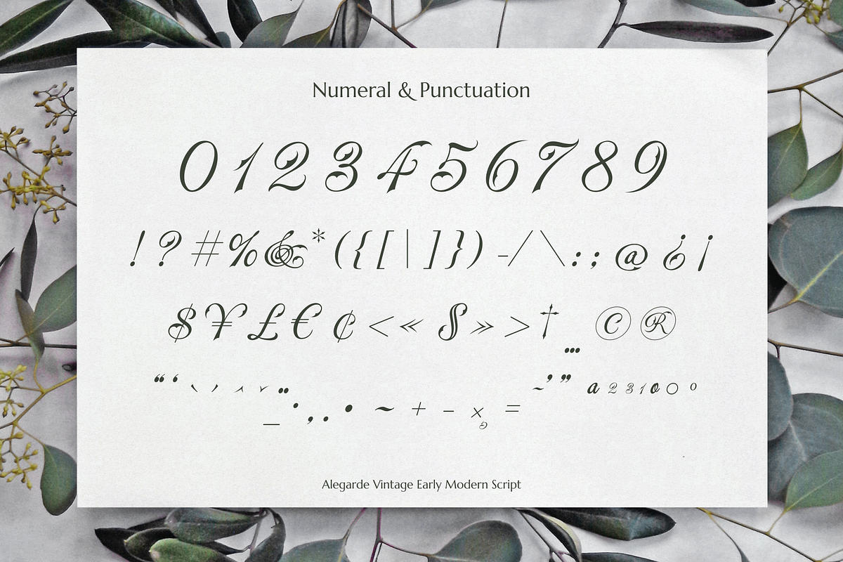 Alegarde, a Script Font by ilhamtaro (Photo 9 of 10)