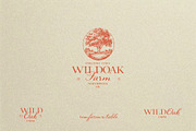 Archive Royal - Vintage Font Trio, a Handwritten Font by AndrewPixelType (Thumbnail 3 of 20)
