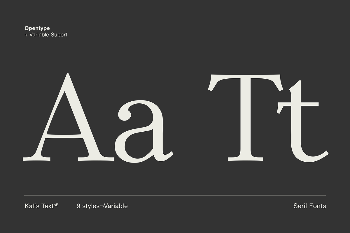 Kalfs Text sE, a Serif Font by silukEight (Photo 6 of 10)