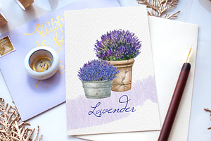 Watercolor Provence Lavender Flower