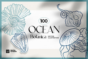 Ocean Botanica