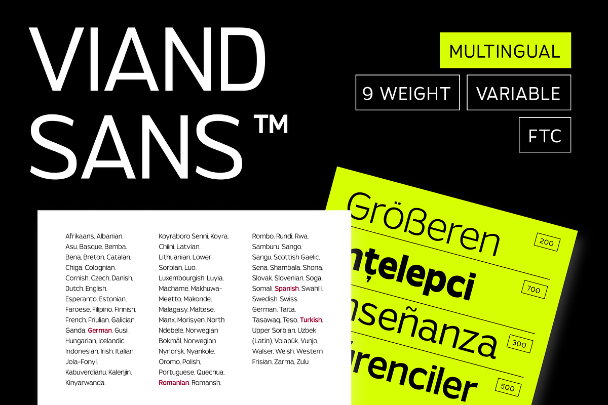 Viand — A Versatile Sans with Flavor, a Sans Serif Font by Fridaytype (Photo 12 of 15)