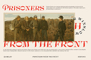 Bornice Modern Serif, a Serif Font by Damelev (Thumbnail 8 of 13)