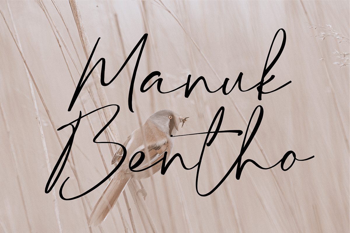 Hey Lovely - Chic Calligraphy, a Script Font by 50Fox (Photo 7 of 17)