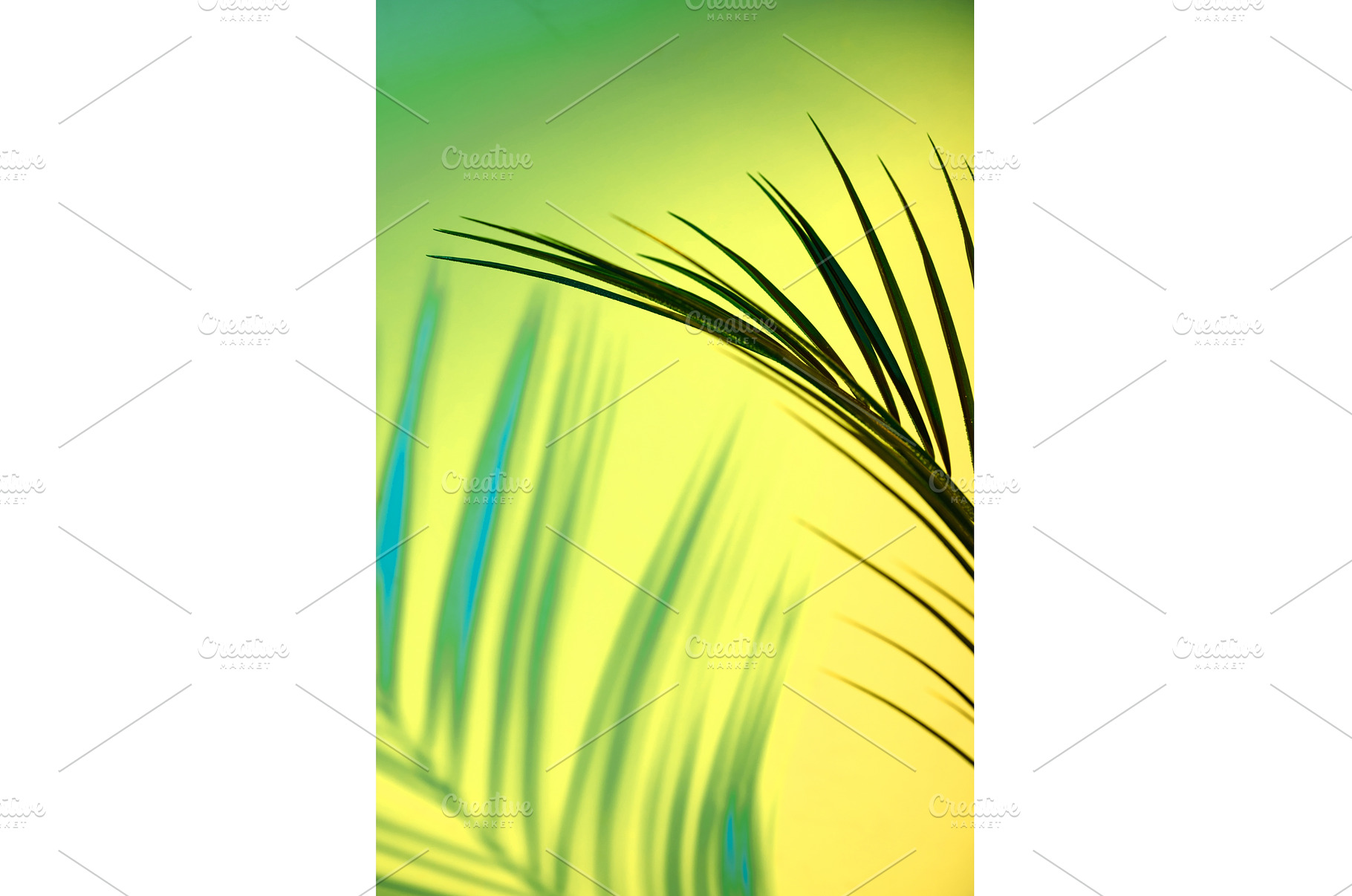 Tropical leaves in neon light with, an Arts & Entertainment Photo by Yulia Furman
