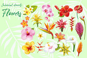 Tropical Flowers, an Illustration by ViktoriaARTprint (Thumbnail 2 of 10)