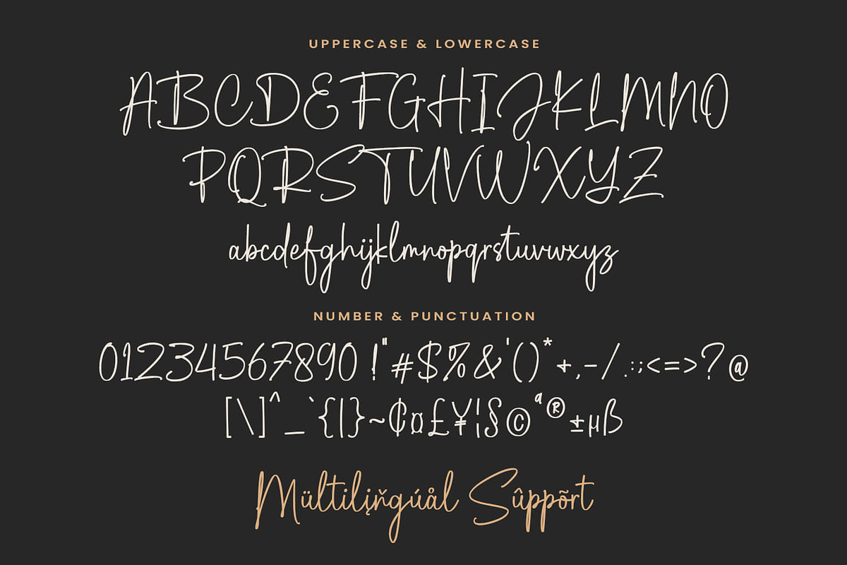Dellanie Signature - Business Font, a Script Font by Pixesia Studio (Photo 13 of 15)