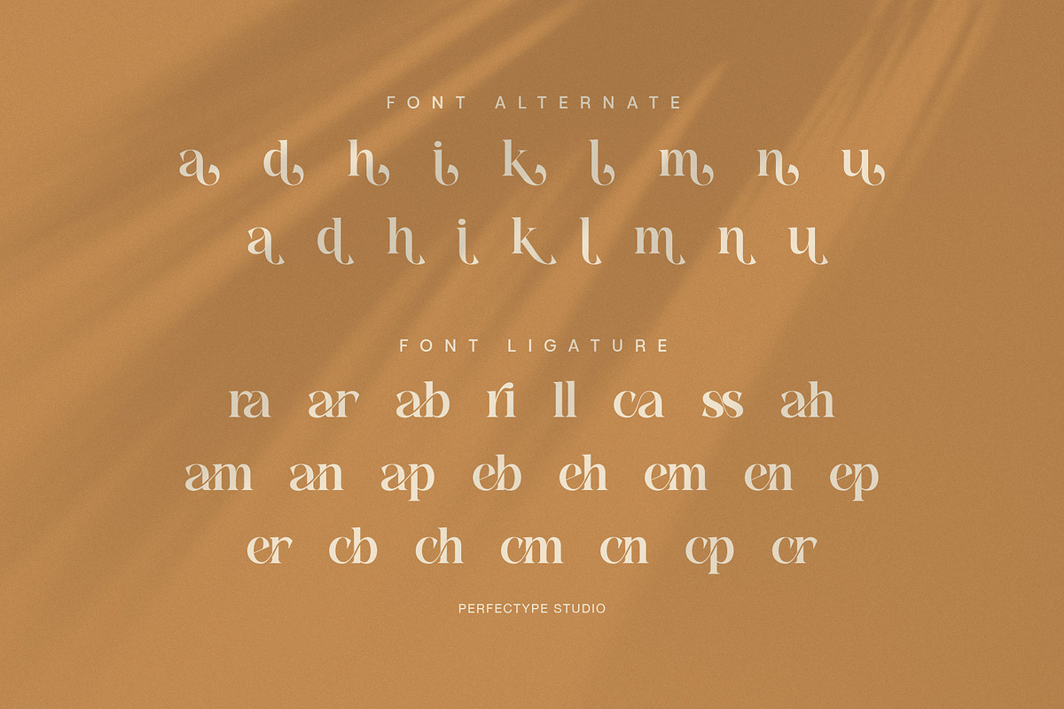 Kangen Elegant Modern Serif Font, a Serif Font by Perfectype (Photo 8 of 8)