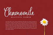 Aringtone a Modern Calligraphy Font, a Script Font by Fatmawati (Thumbnail 6 of 12)