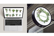 Indoor Plants VECTOR illustrations, a Seasonal Illustration by Natalka Dmitrova art (Thumbnail 10 of 16)