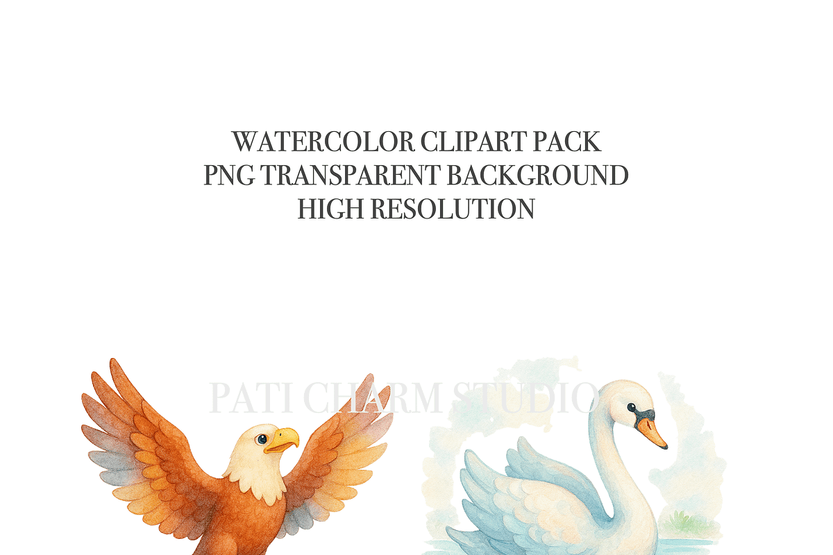 27 Bird Clipart, an Animal Illustration by Pati Charm Studio (Photo 5 of 8)