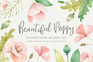 Beautiful Poppy
