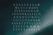 Seafont - serif typeface, 25 styles, a Serif Font by VP Fonts (Thumbnail 8 of 15)