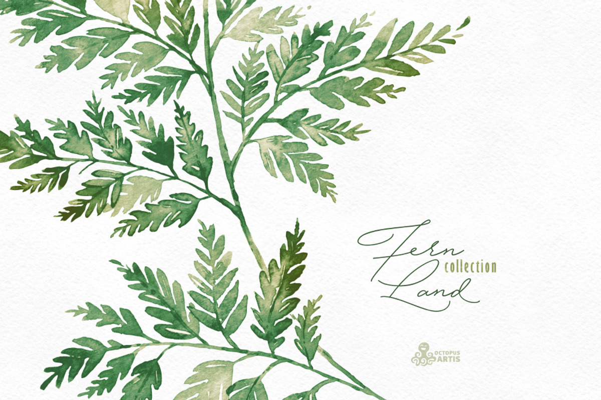 Fern Land. Watercolor Collection, an Illustration by OctopusArtis (Photo 8 of 8)