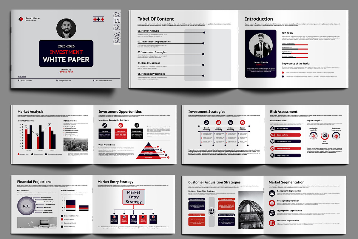 Investment White Paper Template, a Brochure Template by MightyDesign (Photo 1 of 6)