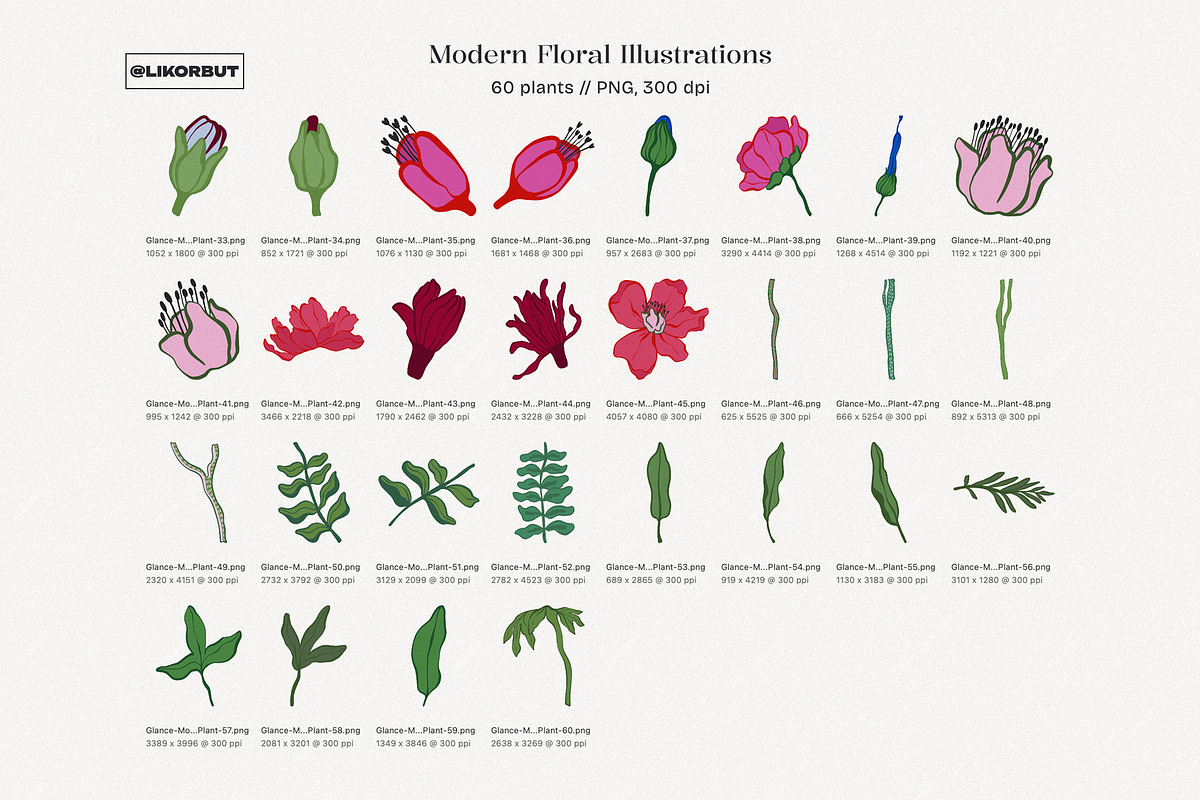 Abstract Modern Flowers Graphics, a Decorative Illustration by likorbut (Photo 6 of 10)