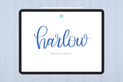 Harlow Procreate Brush, a Brush Add-On by Cate Shaner (Thumbnail 1 of 4)