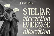Scales - Aesthetic Ligatures Serif, a Serif Font by Say Studio (Thumbnail 10 of 13)