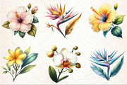 Hawaiian Flowers Watercolor Clipart, an Illustration by Rose Art (Thumbnail 3 of 7)