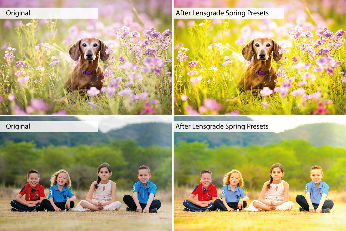 Spring Presets - Lightroom Presets preview 3