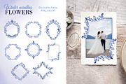 Winter acanthus Flowers, a Decorative Illustration by L- design studio (Thumbnail 3 of 7)