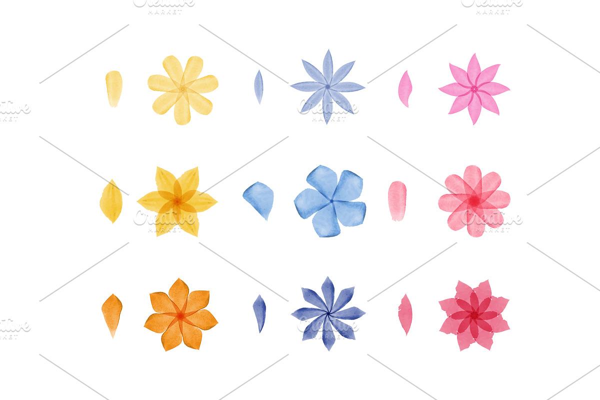 Colorful watercolor blossoms and, an Illustration by okskukuruza