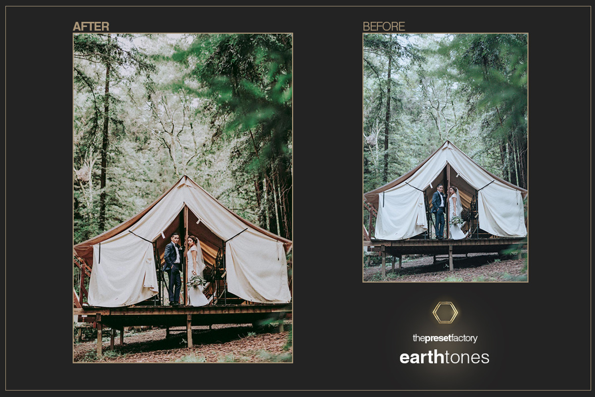 Earth Tones - Lightroom & PS ACR, a Plug-in Add-On by The Preset Factory Ltd. (Photo 3 of 11)