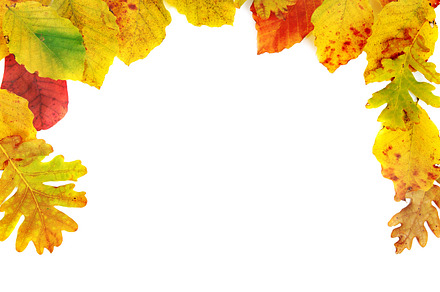 Autumn leaves featuring leaves, frame, and maple, an Abstract Photo by Vapi