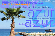 Azur Fonts, a Font by Wiescher Design (Thumbnail 1 of 5)