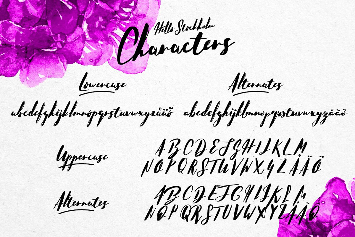 Typographer's Dream Box + 200 Logos, a Script Font by Mats-Peter Forss (Photo 108 of 130)