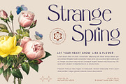 Peach Daisy, a Sans Serif Font by Nathatype (Thumbnail 5 of 10)