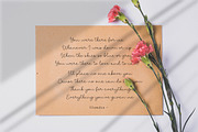 Clandia Monoline Script & Ornaments, a Script Font by Typebae (Thumbnail 5 of 12)