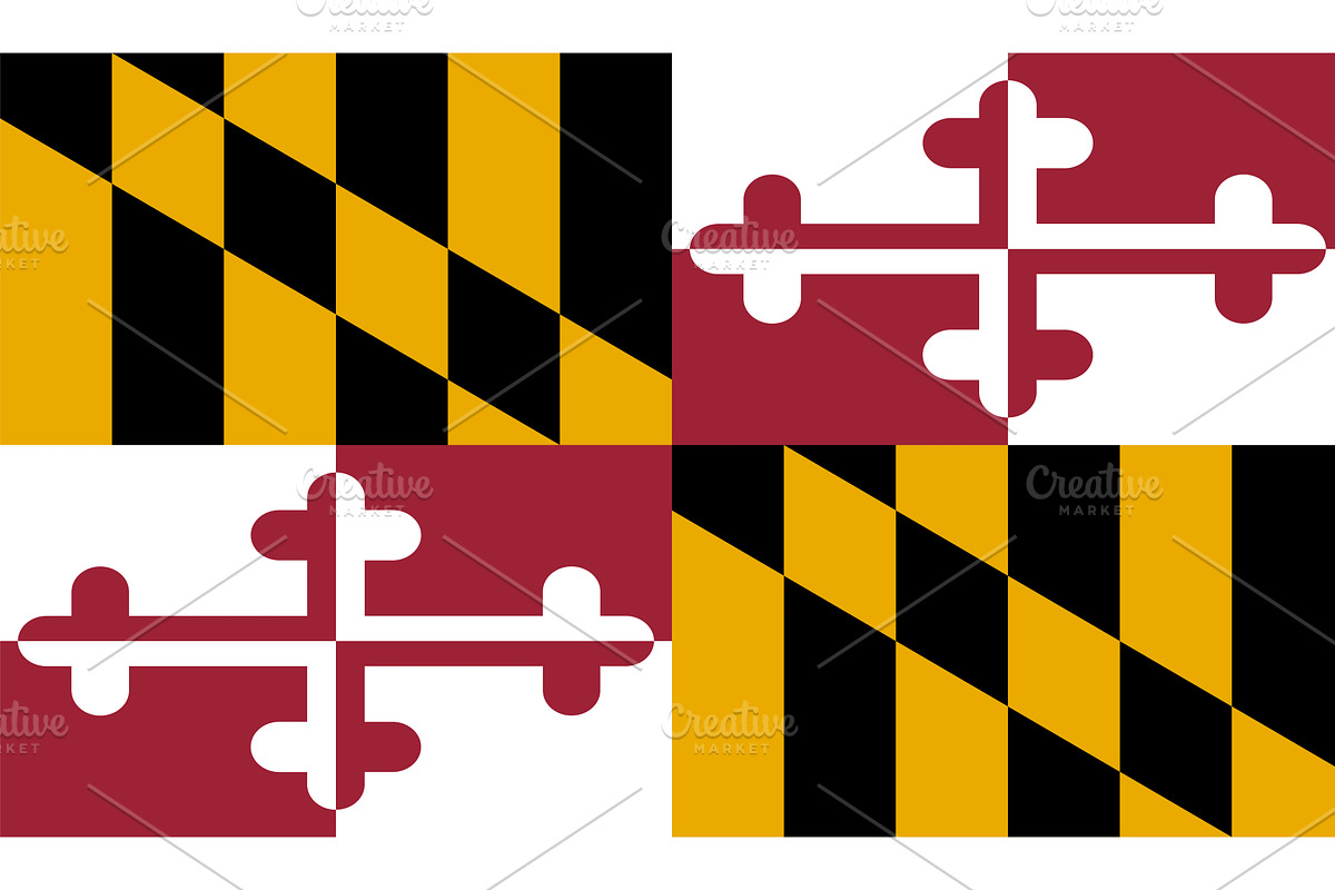 Maryland US State Vector, an Illustration by megastocker