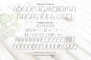 Wednesday | Script Font, a Handwritten Font by Scratchones (Thumbnail 7 of 8)